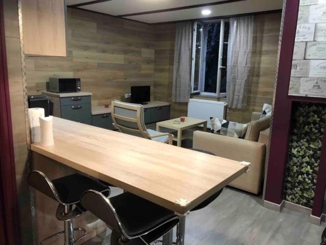 Deux Beaux Appartements En Plein Coeur De Dijon Buitenkant foto