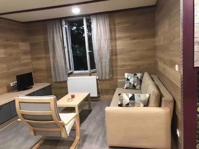 Deux Beaux Appartements En Plein Coeur De Dijon Buitenkant foto